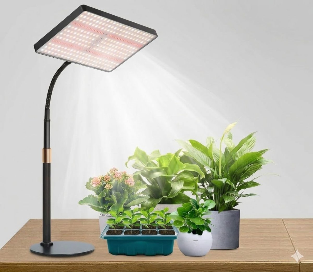 DOWO Groeilamp LED Full Spectrum - Kweeklamp - Plantenlamp Binnen - 286 LEDs - Timer 4/8/12 uur - 10 Helderheidsniveaus