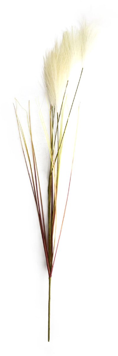 Kunstbloem Pluim 78x10x3cm beige