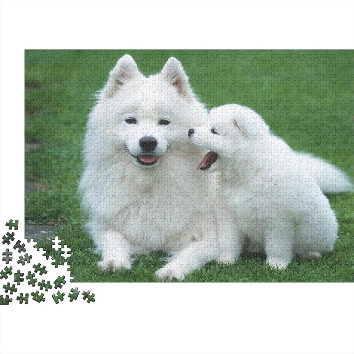 Honden Puzzel - Foto Puzzel - Ontspanning en Geheugen - Eigen Foto Ontwerp - 1000 Stukjes - Multicolor