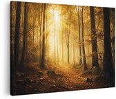 90 cm x 60 cm