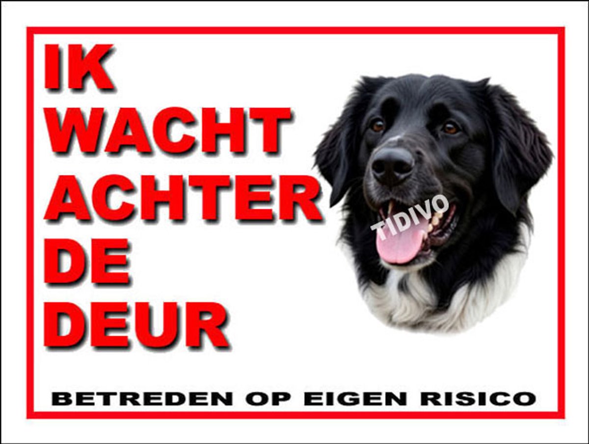 Stabijhound 10