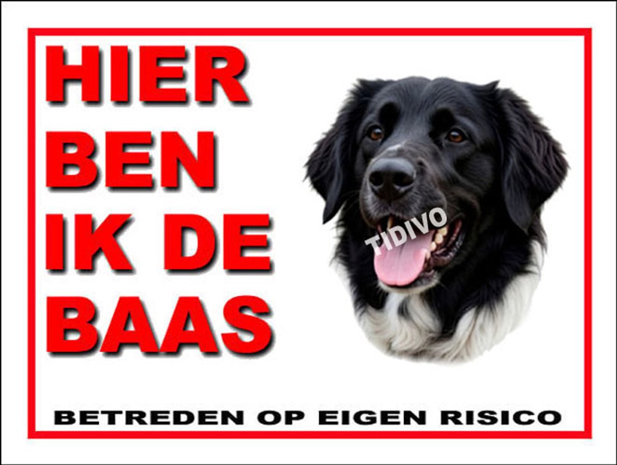 Stabijhound 2