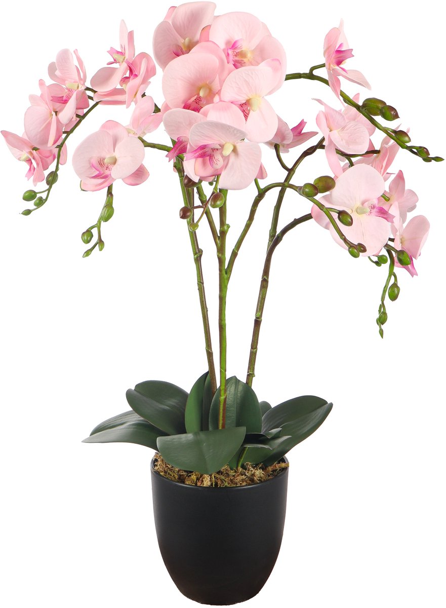 Kunstpalm Kunstplant Orchidee Roze | 70cm – Realistische Kunstorchidee – Luxe Bloemenplant – Onderhoudsvrij – Decoratie voor Woonkamer en Kantoor Lichtroze