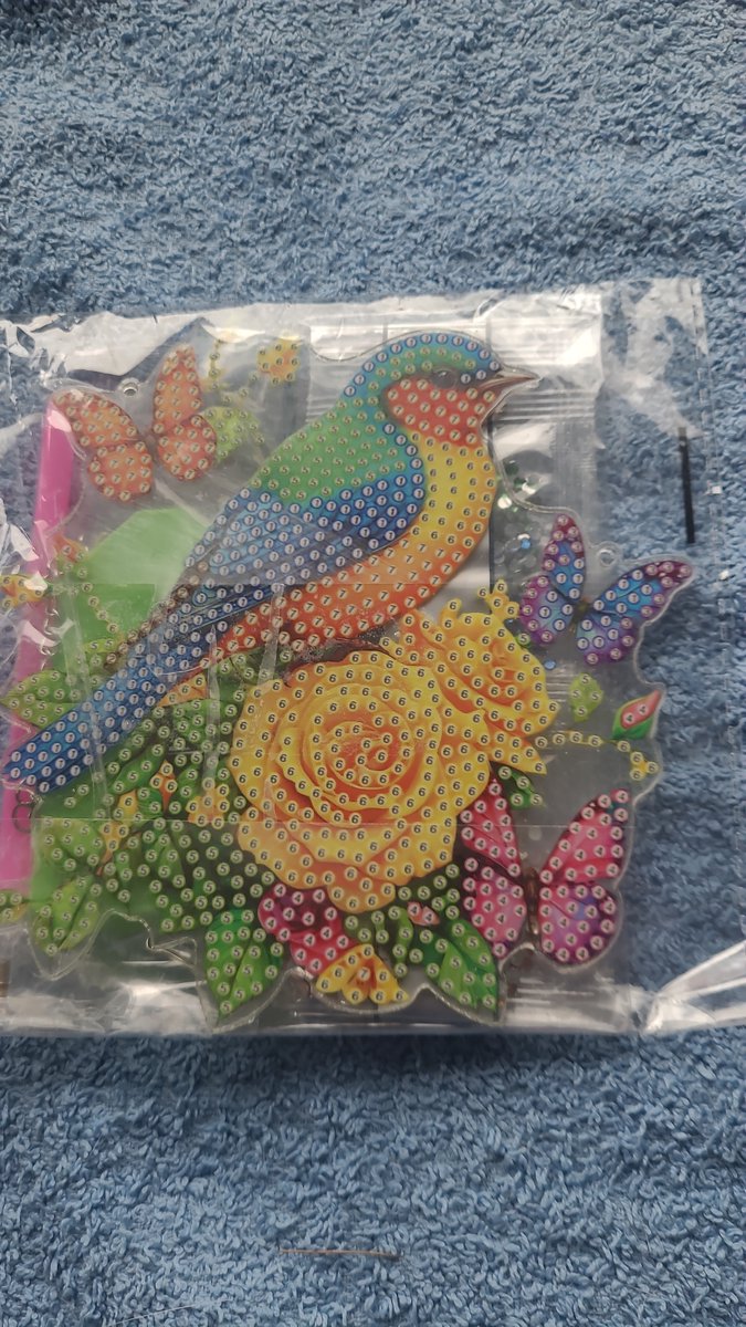 Raamhanger - Window-gekleurde vogel - Diamond painting