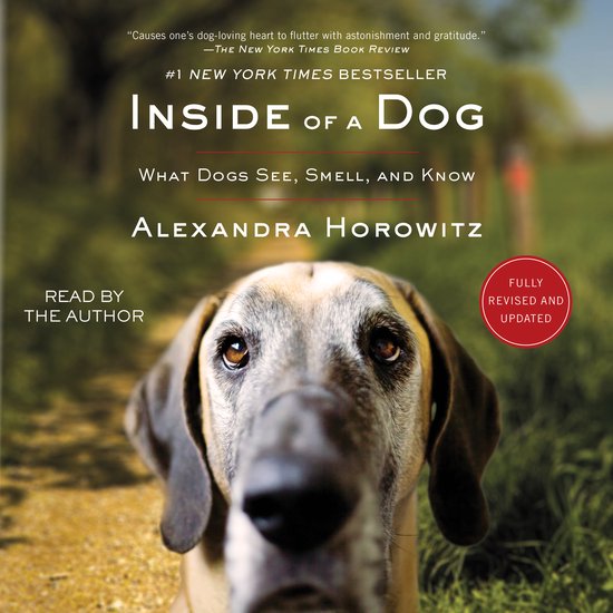 Inside of a Dog - cover