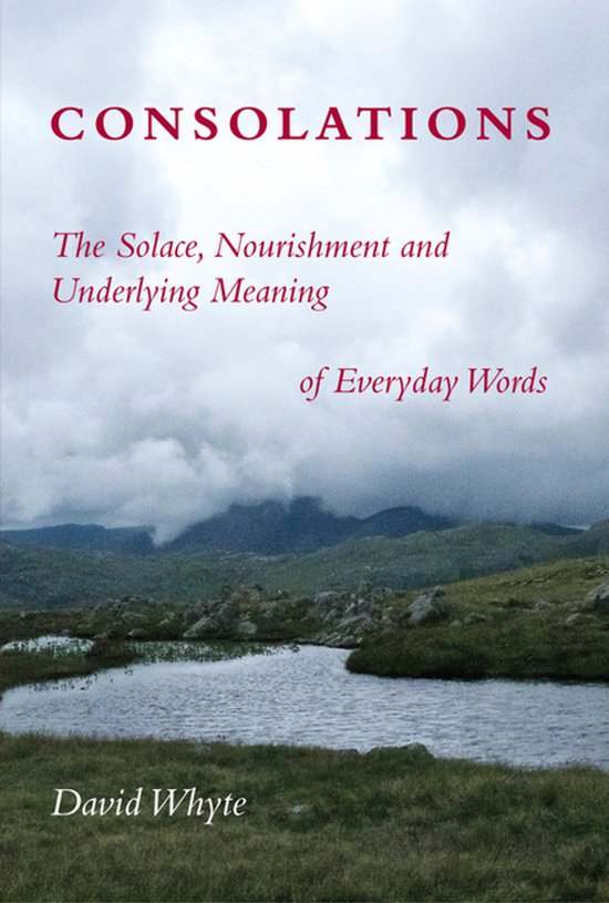 Boek kaft met de titel CONSOLATIONS in rode letters, met de ondertitel The Solace, Nourishment and Underlying Meaning of Everyday Words. Op de achtergrond een berglandschap.
