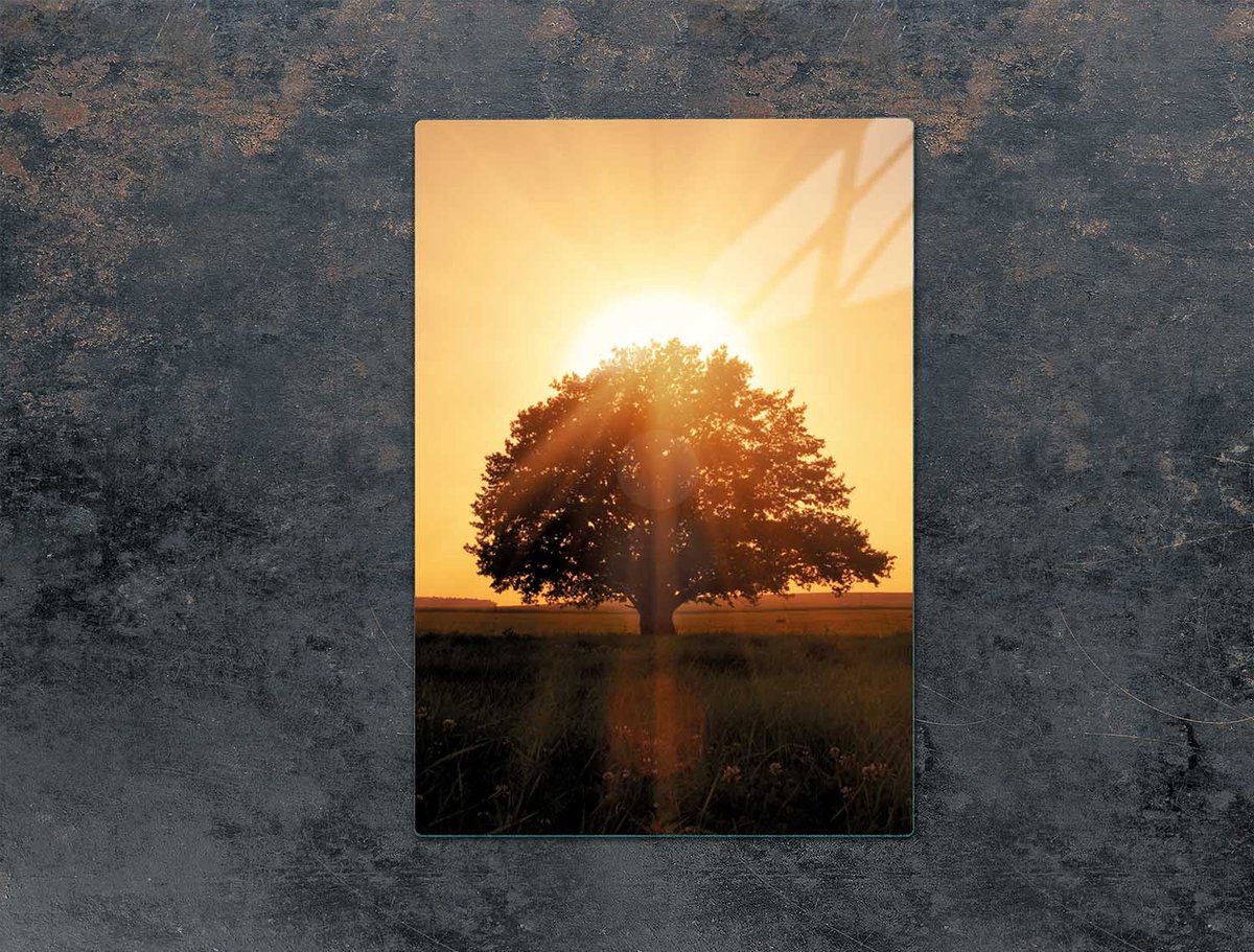 TMK ArtDeko Serie - Snijplank Glas - 35x52 cm - Bescherming - Duurzaam - Antibacterieel