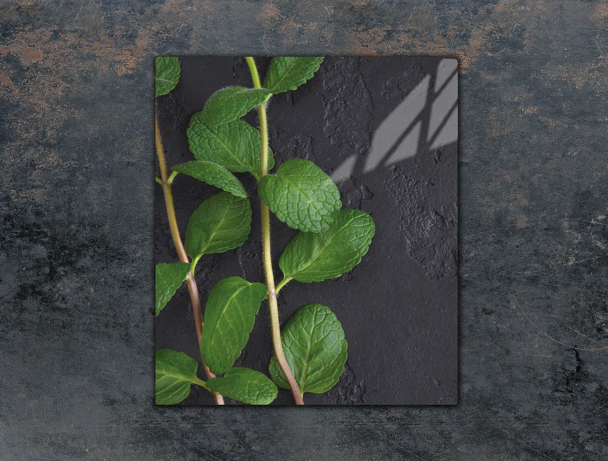 TMK ArtDeko - Snijplank - Glas - 45x52 cm - Miënte