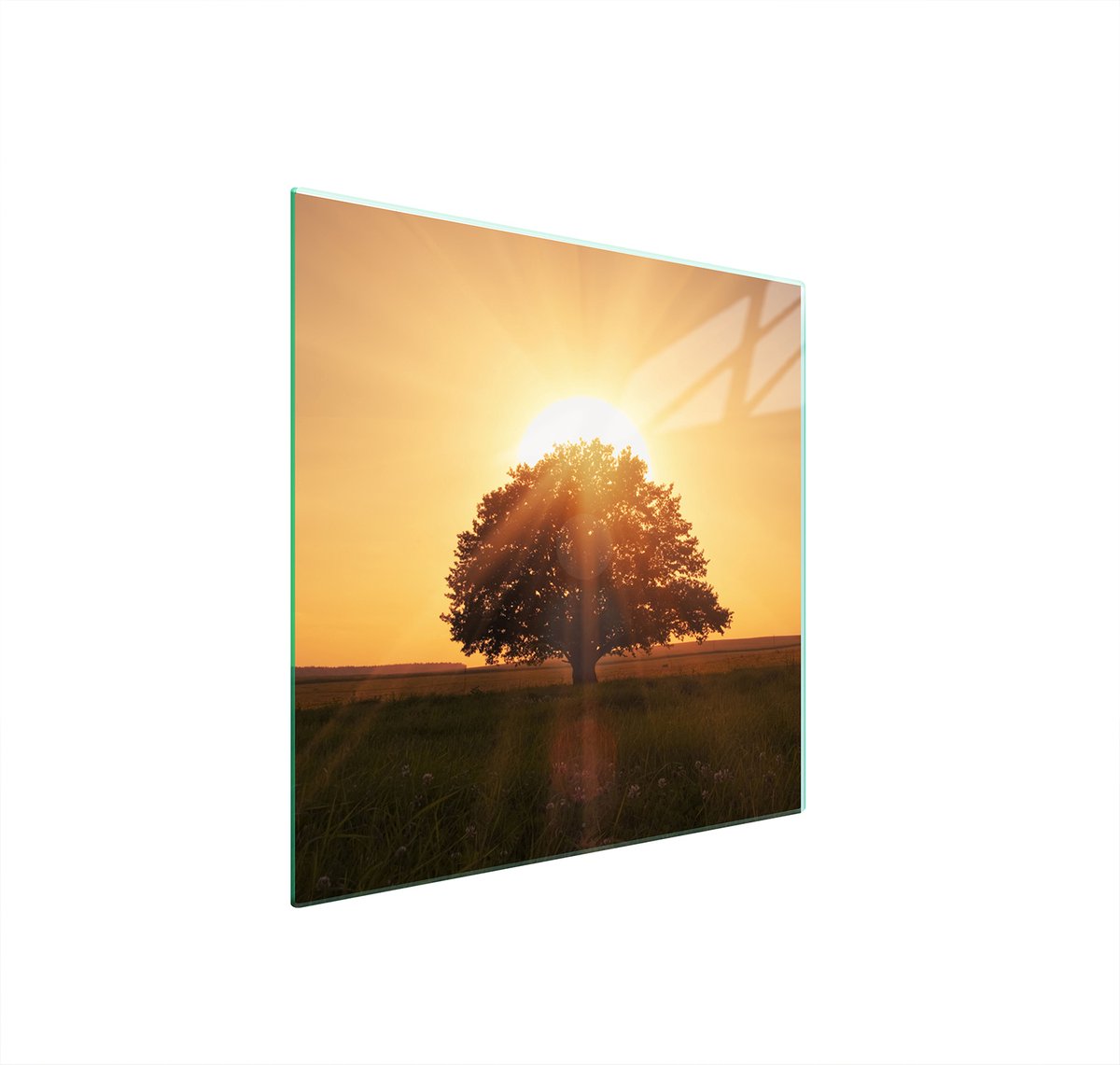 TMK ArtDeko - Glazen Beschermplaat - 50x52 cm - Gehikt Glas - Veelzijdig