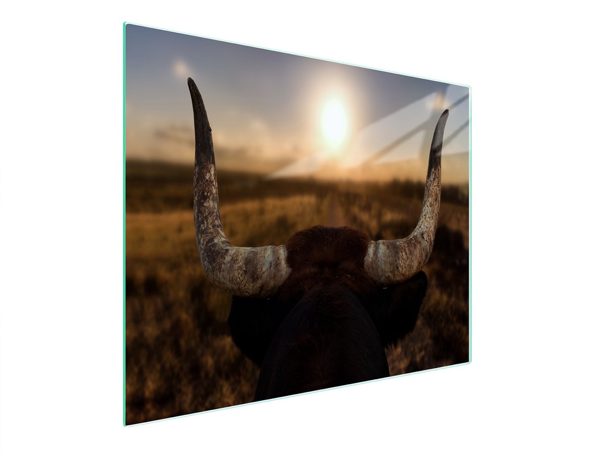 TMK ArtDeko - Snijplank - 52x30 cm - Glas - UV-prints
