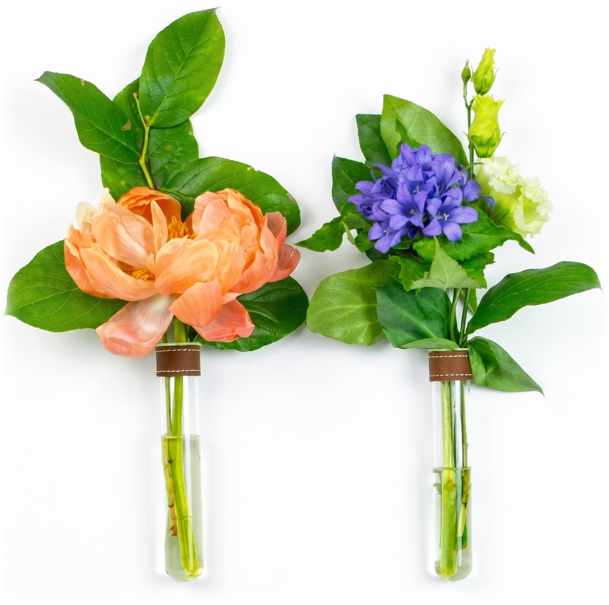 TWILG - Magnetische Muurvaasjes - 2 Stuks - Stek vaasjes - Glas - Cognac leer - Stekjes - Moederdag - Moderne vaas - Stekstation - Wandvaas - Droogbloemen - Reageerbuisjes