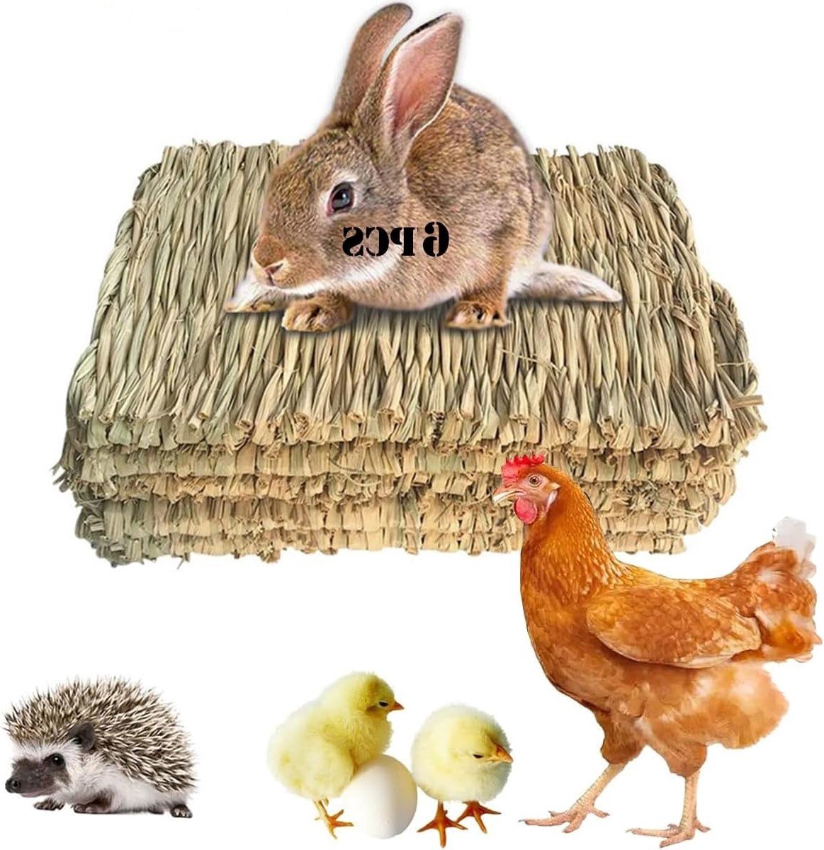 Set van 6 Natuurlijke Hare Grass Matten 20 x 28 cm voor Konijnen, Cavia’s en Hamsters – Woven Dierbedden en Kauwspeelgoed Set van 6 Natuurlijke Hare Grass Matten 20 x 28 cm voor Konijnen, Cavia’s en Hamsters – Woven Dierbedden en Kauwspeelgoed