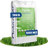 Graszaad Speelgazon Snelkiemend - 10 kg - 500 m2 - Gazonzaad - Speelgazon Graszaad - Graszaden - Gras Zaad - Graszaad Sportgazon en Speelgazon - Zelfherstellend - Hoge Betredingstolerantie - NAK Gecertificeerd
