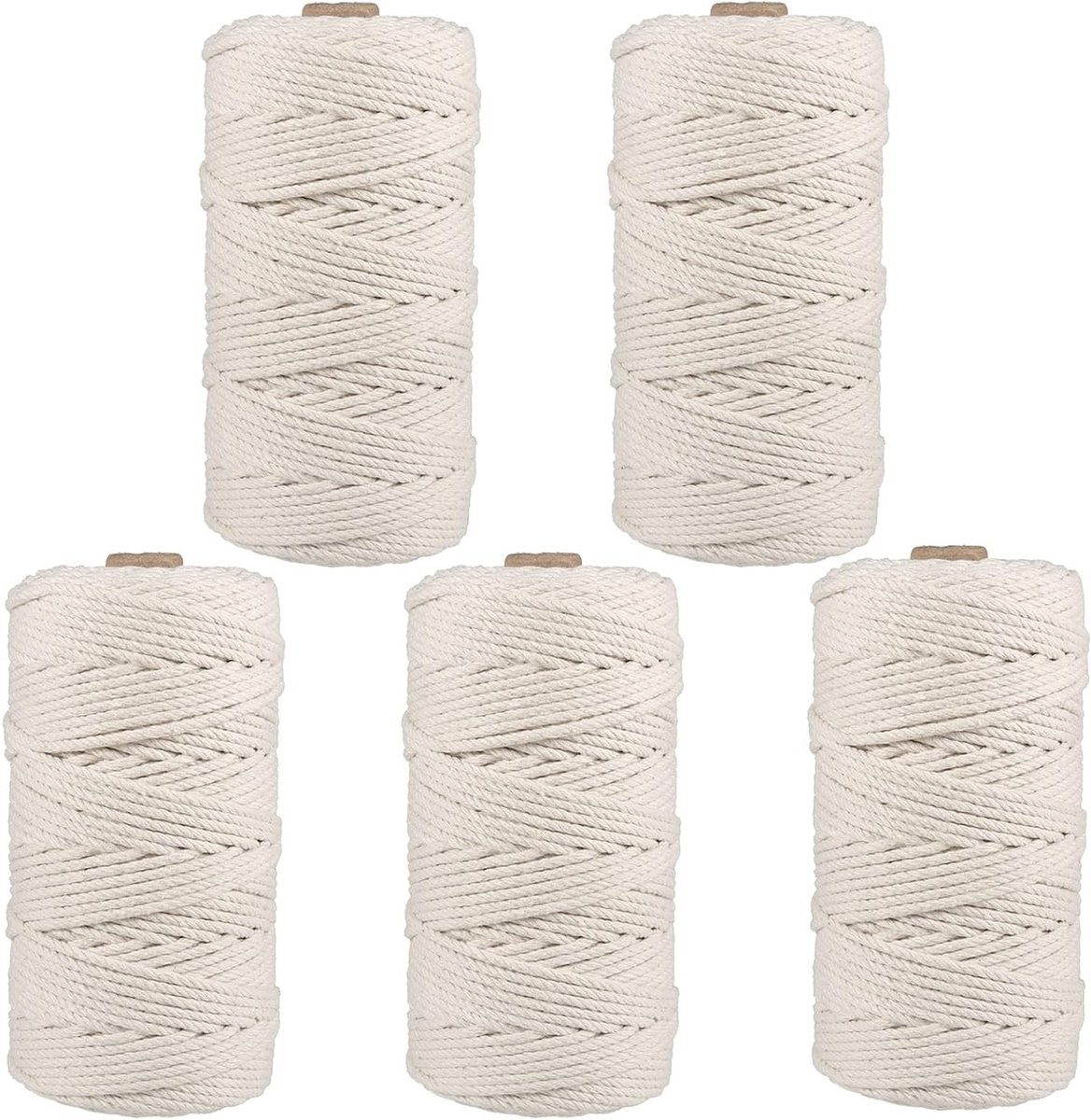 Macrame Touw Set van 5, 3 mm x 100 m, Draad voor Wanddecoratie, Breien en Creatieve Projecten