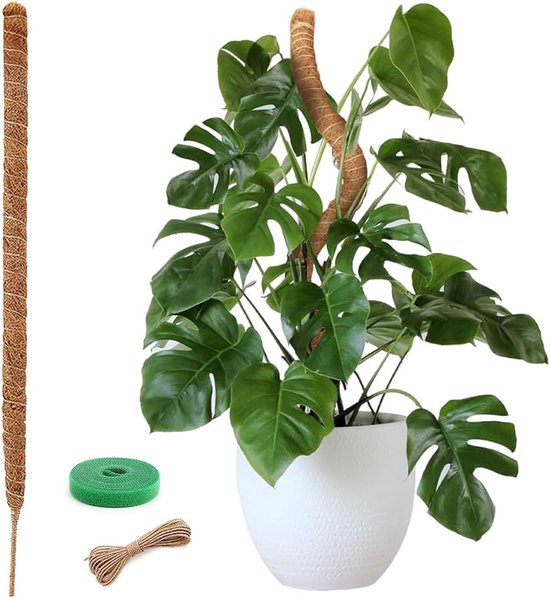 Moss pole 120cm - handgemaakt van kokos - met klittenband en touw - ondersteunt de groei van klimplanten - ShopVlot
