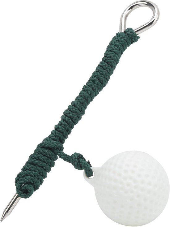 Golf Swing Trainer - Oefenhulp Touw - Golfslag Verbeteren - Directe Richting Feedback - 16 cm Lengte - Zwart van GOLF — afbeelding 5