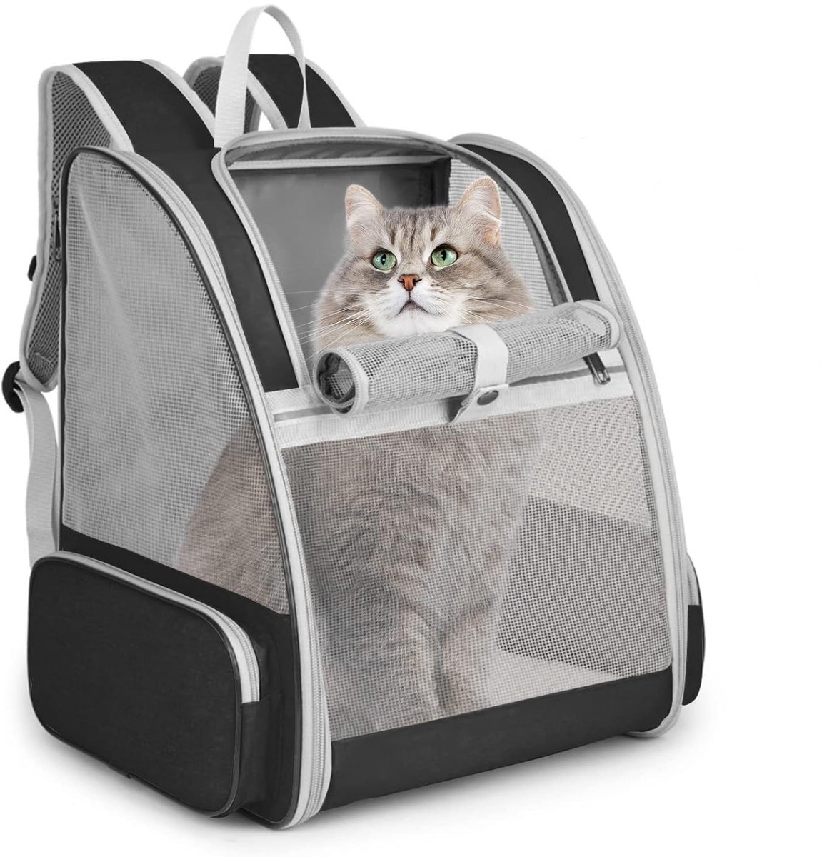 Kattenrugzak - Hondenrugzak - Draagbare rugzak voor huisdieren - Ademend bovenwerk van mesh - Opvouwbaar grote capaciteit - Handdraagbaar - Voor katten en kleine honden - Voor wandelen hiken buitengebruik - Zwart