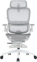 SIHOO B100 Pro Ergonomische Bureaustoel - Verbergbare Voetsteun - 4D Adaptieve Dynamische Lumbale Steun - 3D Extra Brede Hoofdsteun - 4D Ophoudbare Armsteunen - Grijs