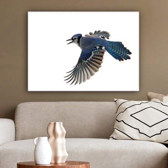 Blue Jay devant toile fond blanc 2cm 80x60 cm - impression photo sur toile peinture Décoration murale salon / chambre à coucher) / Animaux sauvages Peintures Toile