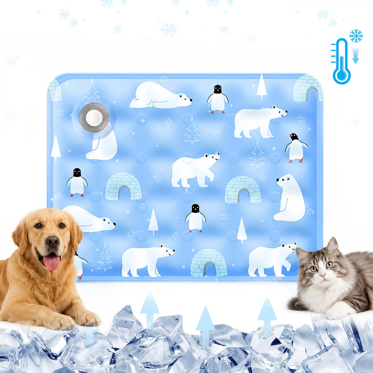 Koelmat Hond - Koelmat Kat - Water Koelmat - Zelfkoelende Hondenmat Zomer Koelkussen - voor Thuis, Onderweg of in de Auto - Fysieke Koeling - Activeer Met Water - PVC + Polymeergel - Krasvast Lekvrij - Blauw - 50x60cm - 1 Stuk