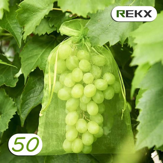 Lichtgroen organzazakje met witte druiven, tussen groene bladeren. Logo REKX en '50'.