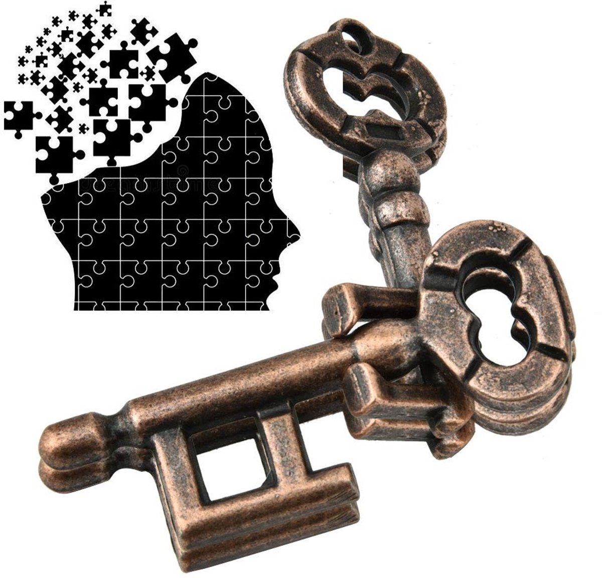 Dailygoods - Dailygoody - IQ Teaser Ontgrendelspeelgoed - Educatief Speelgoed - Draagbaar Puzzelspel - Probleemoplossend - Verstevigingsgesp - Uitdagend voor