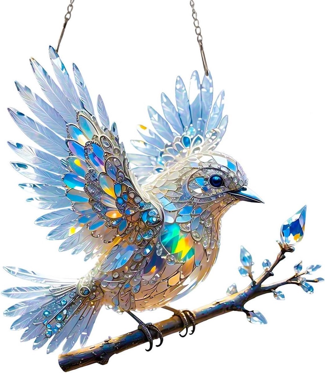 Dubbelzijdige Gekleurde Glazen Acryl Zonvanger voor de Woonkamer met Eenvoudige Hangketting en Vogel Ornamenten