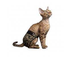 Sharon-B - Kattenluier - Palm Zwart maat S – Kattenbroekje & Katerluier – Medical Suit Kat / Wondbeschermer – Tegen Sproeien en Incontinentie – Wasbaar