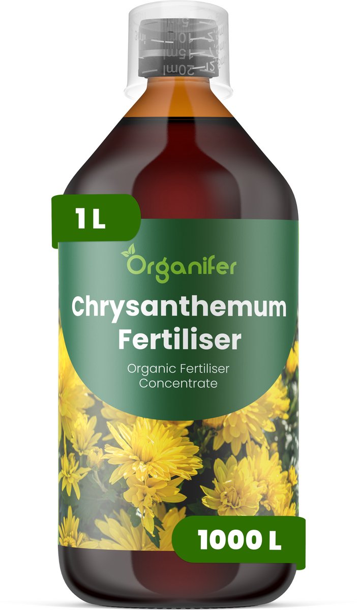 Vloeibare Meststof Voor Chrysanten 1 L Voor 1000 L - Npk 2-1-8 - Rijke Knopvorming - Sterke Wortels - Stressbestendig - Stengelsterkte - Bloemduur - Snijbloemen - Intense Kleurontwikkeling - Betrouwbare Bloei - Organifer