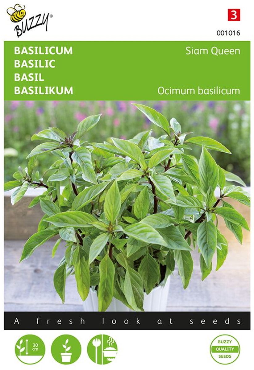 Buzzy® Basilicum Siam Queen