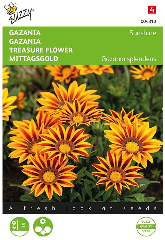 Middaggoud Sunshine - Gazania splendens