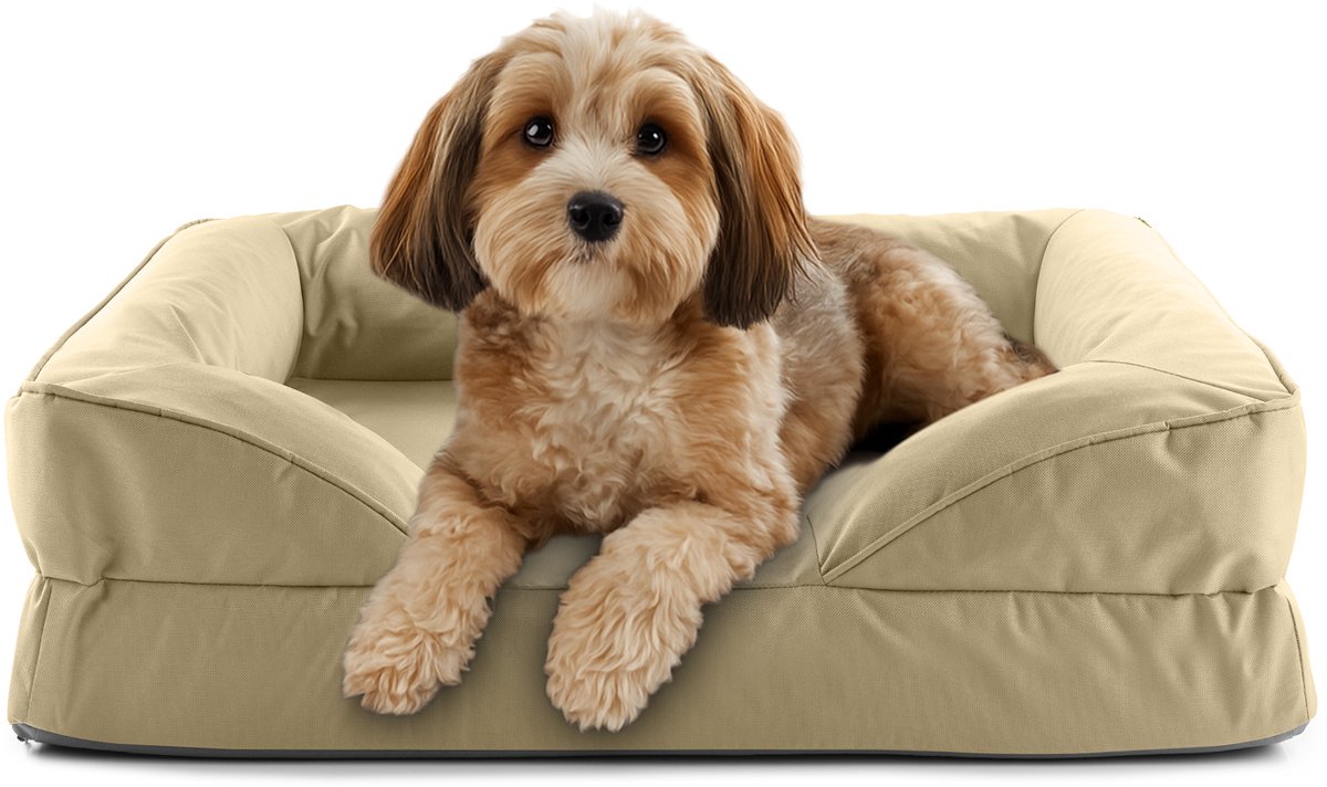 Lumaland orthopedisch hondenbed voor binnen en buiten | ergonomische hondensofa 70x60 cm – ideaal voor kleine honden | antislipbodem | vulling en hoes wasbaar | waterdichte hondenmand