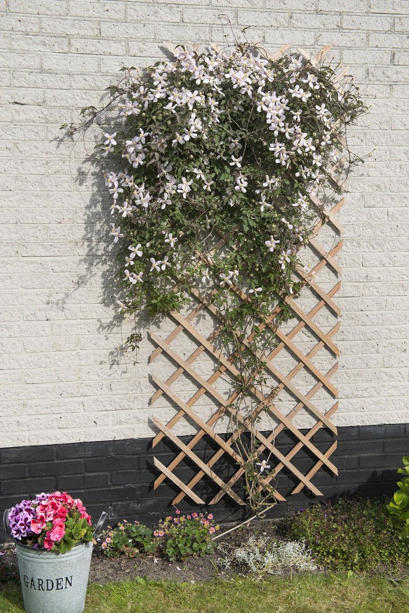 Nature - Houten Klimrek 150x 50cm - Klim-En Geleide Artikel - Natural — afbeelding 6