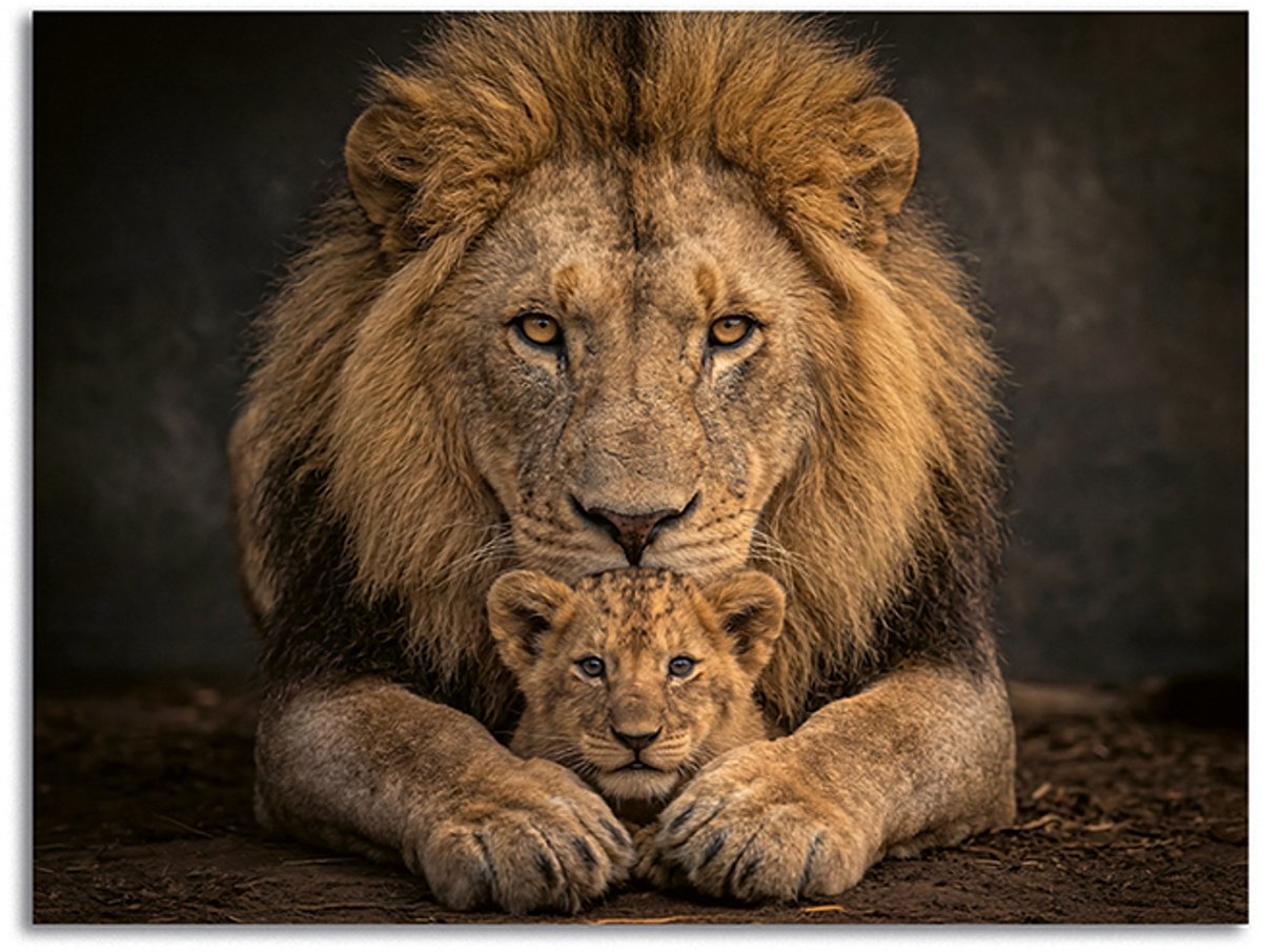 Schilderij Woonkamer - Modern Canvas Kunstwerk - 90 x 60 cm - Leeuw met Cub Verbonden in Kracht No5 - PosterGuru