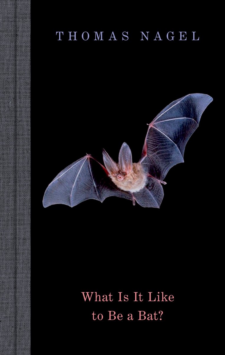 What Is It Like To Be A Bat?