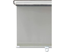 Verduisterende Rolgordijnen - Zuignap Gordijnen Tijdelijke Jaloezieën - Privacy en Zonwering - Zonder Boren Installatie - 30x125cm - Grijs