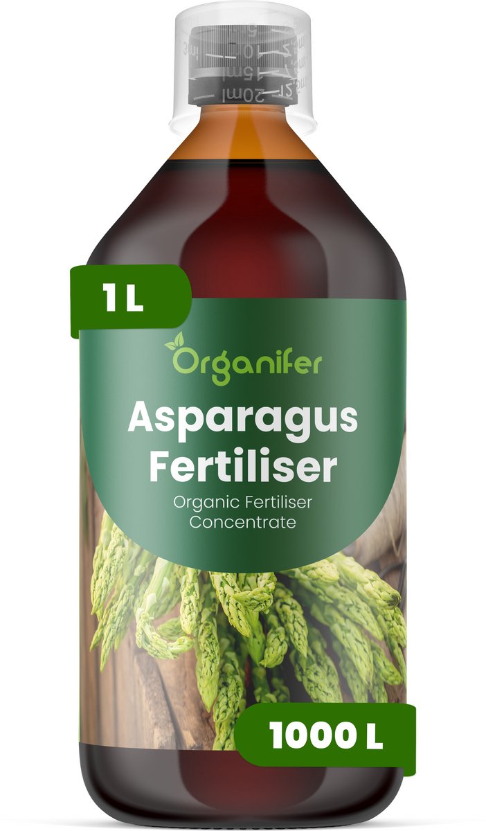 Vloeibare Meststof Voor Asperge 1 L Voor 1000 L - Npk 2-1-8 - Krachtige Scheutproductie - Scheutdikte - Oogst Kwaliteit - Meerjarige Wortelstokken - Voorjaarsuitloop - Hittebestendig Waterregulatie - Diepe Wortelgroei - Loofgroei - Organifer
