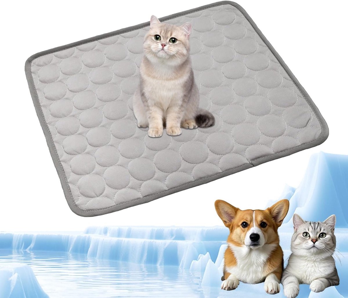 Koelmat voor Honden en Katten, Zelfkoelende Mat voor Dieren in de Zomer, Duurzame Koelmats voor Huisdieren, 62x50cm, Ideaal voor Thuis en Reizen