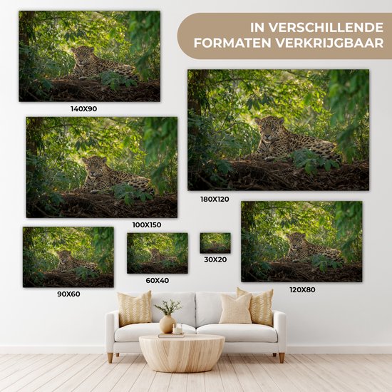 Canvas van een jaguar in de jungle, verkrijgbaar in verschillende formaten.