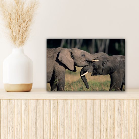 Toile d'éléphants gambadeurs 2cm 30x20 cm - petit - Tirage photo sur toile (Décoration murale salon / chambre) / animaux sauvages Peintures sur toile