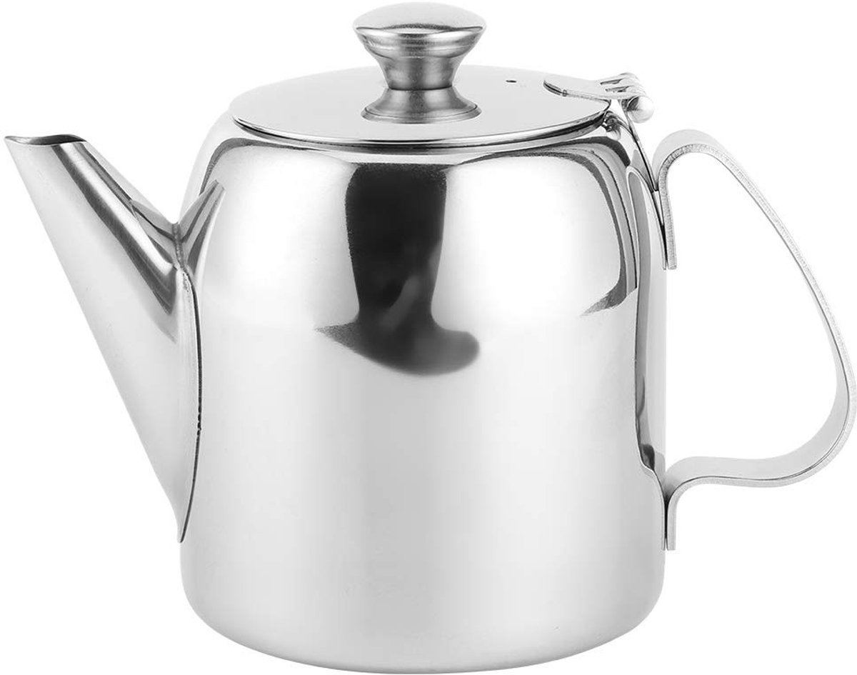 Dailygoods- Theepot Roestvrij Staal - Dubbelwandig - Met Filter - Korte Uitloop - 500 ml - Hoogglans Gepolijst - Waterkoker