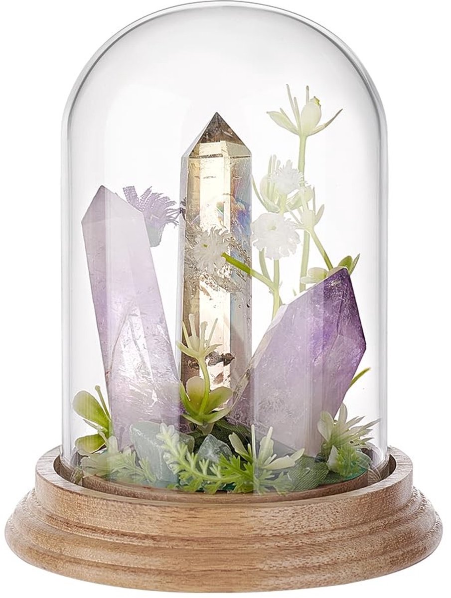 Dailygoods- Glazen Koepel 4,2"/5,5" - Glazen Display - Cloche Vitrine - Houten Basis - Decoratie voor Feesten - Romantische Sfeer