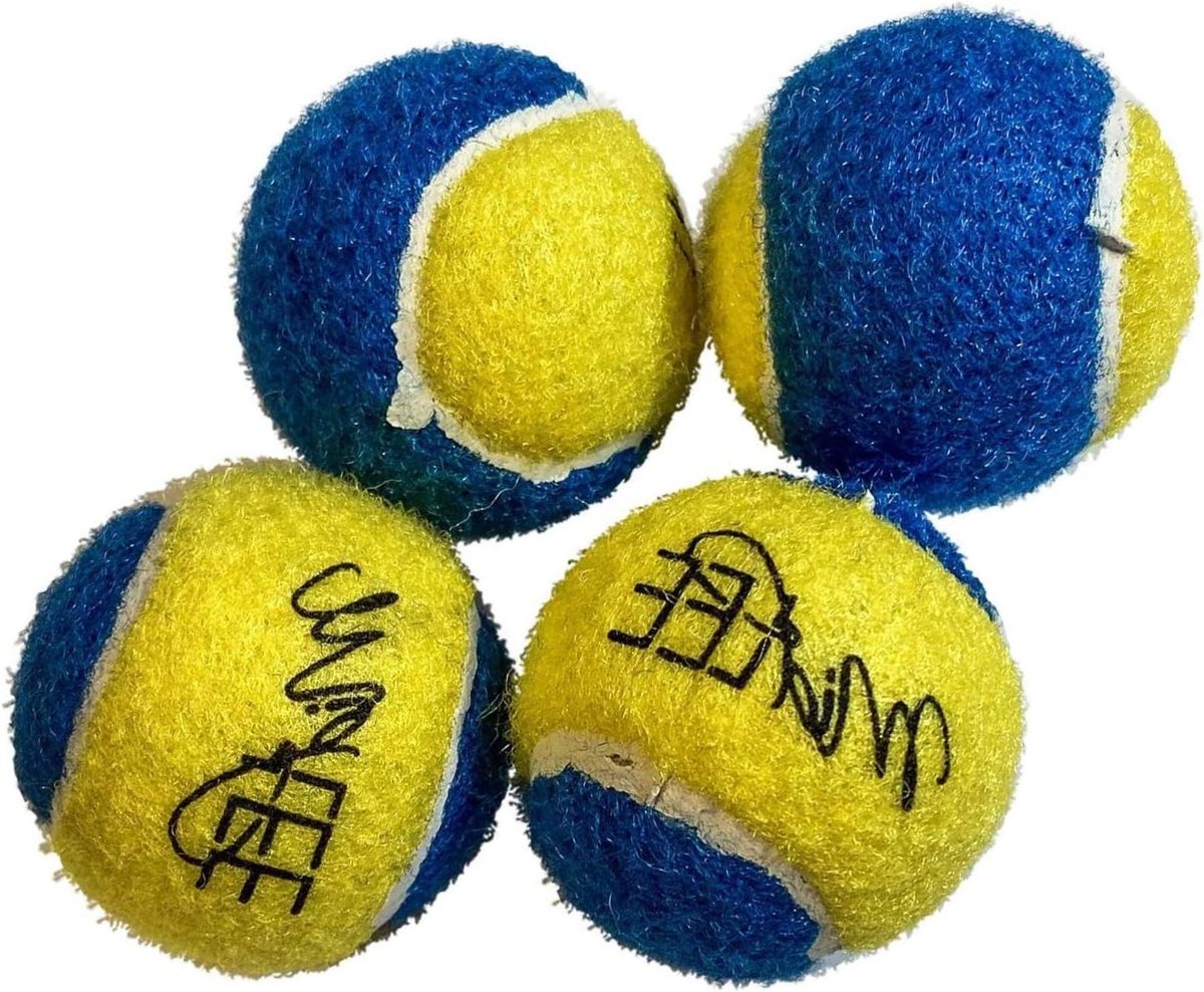 Hondentennisballen - Speelballen - Actief Spelen - Helder Kleurontwerp - 4 stuks - Blauw Geel