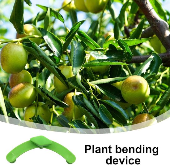Fruitboom Takspreiders - Buiggereedschap Planten - Takken Vormgeven - 5 Verstelbare Buigmachines - 15 x 10 x 6 cm - Groen — afbeelding 4