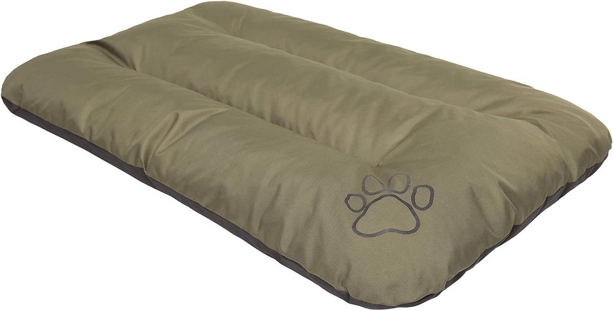 Hondenmatras - Hondenbank Ligbed - Comfortabel Rusten - Verstevigd Ontwerp - 100 x 70 cm - Groen