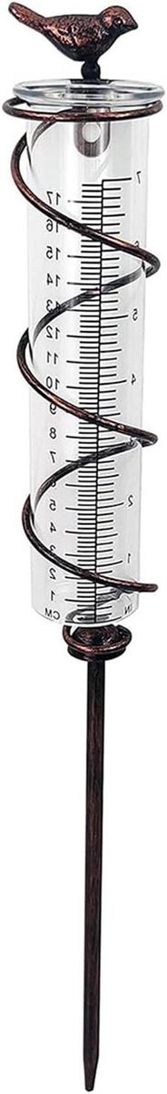 Grote Regenmeter - Tuin Meetinstrument - Tuin Water Geven - Verstelbare Metalen Paal - 48 cm Hoog - Transparant