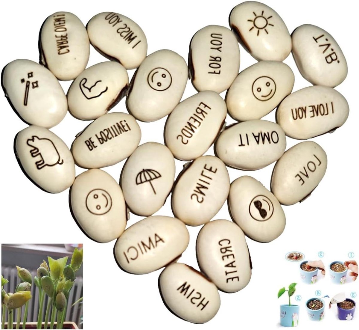 Magische Bonen - Boodschap Bonen - Origineel Cadeau - Geheime Inscriptie - 20 Stuks - Groen