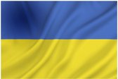 Oekraïense Vlag 90x150cm
