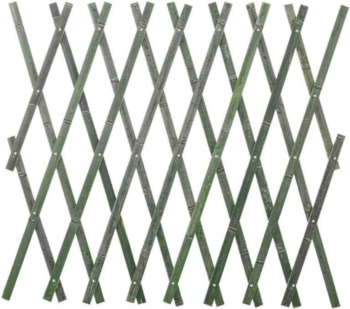 Bamboe hek - Palissade scherm - Planten ondersteunen - Uitbreidbaar ontwerp - 60x180cm - Houtkleur