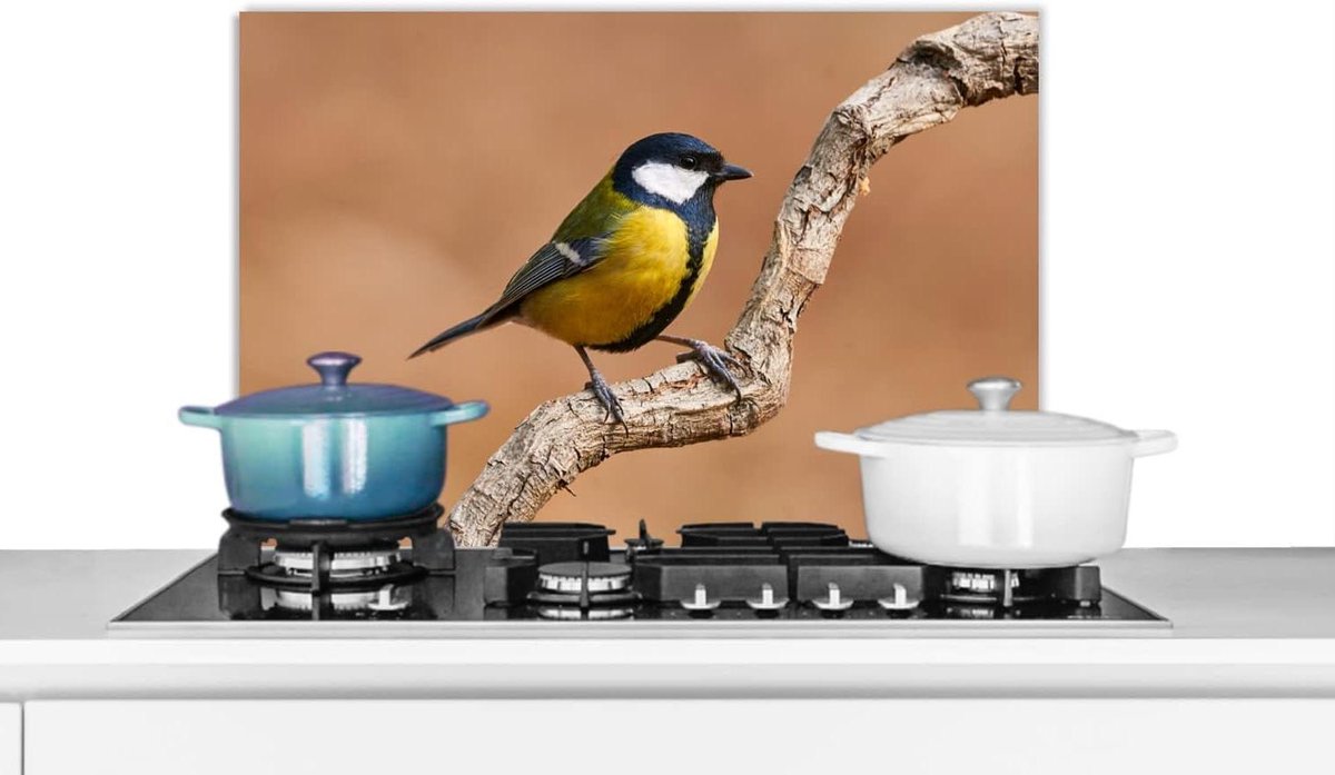 Keuken Spatscherm - Wandpaneel - Koken Beschermen - Scherpe Fotoprint - 60x40 cm - Multicolor